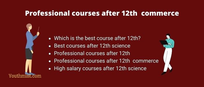 Professional courses after 12th commerce