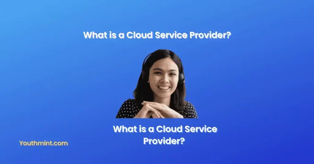 What is a cloud service provider-1?