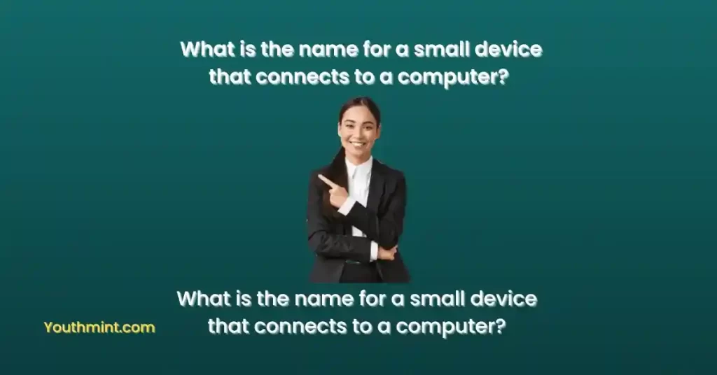 What is the name for a small device that connects to a computer?