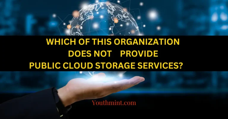 Which of this organization does not provide public cloud storage services?