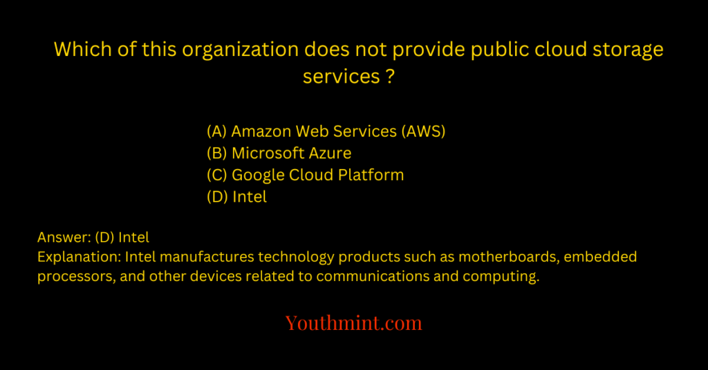 Which of this organization does not provide public cloud storage services?